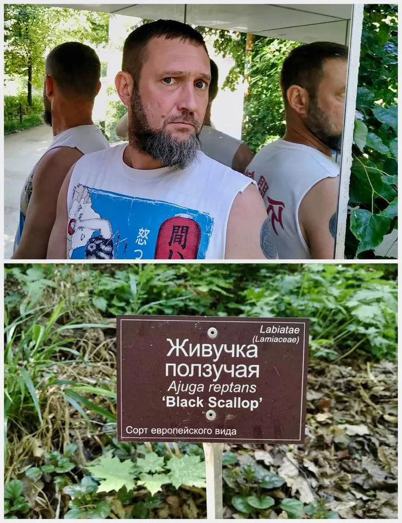 Mrakov