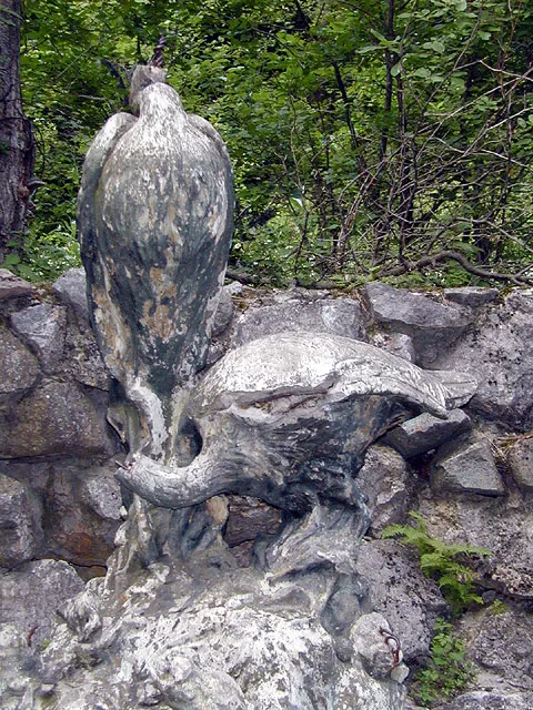 птички без головы