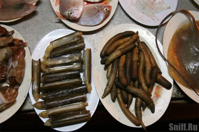 морские деликатесные полипы