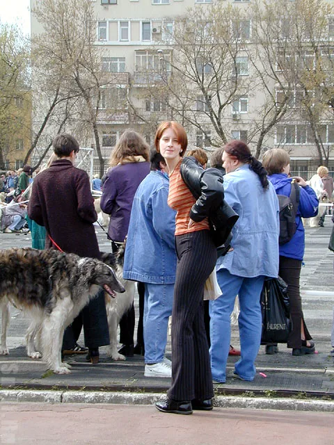Щетка