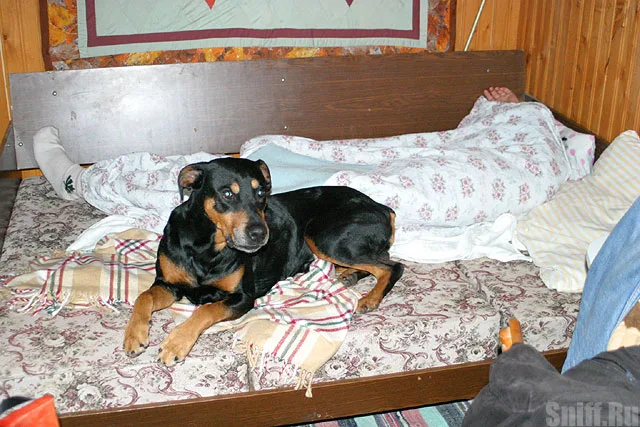 Крися