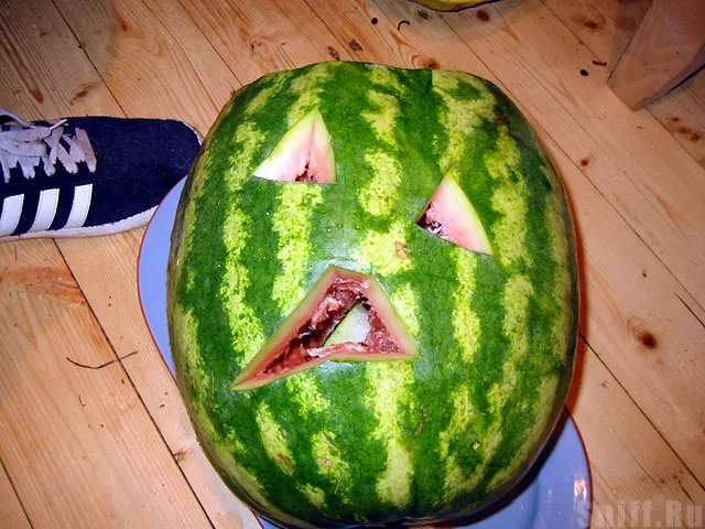 Наш друг