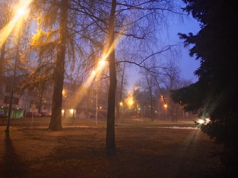 2499 · 05.12.2014