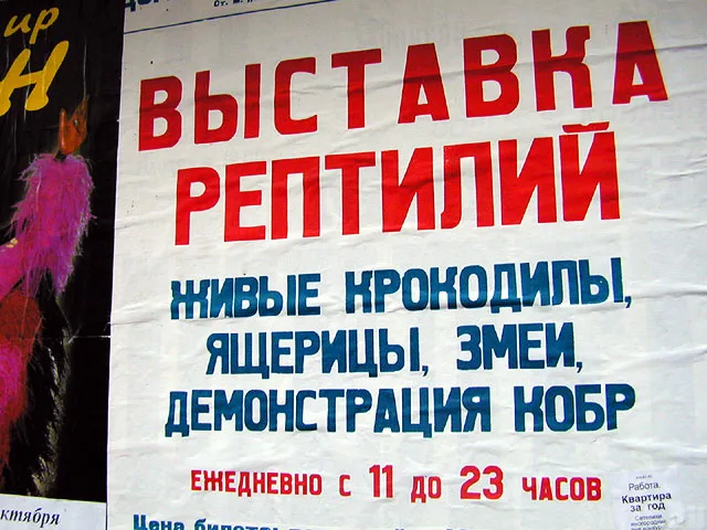 до демонстрации кобр дело не дошло