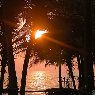 Индия. Goa. Morjim Beach. Чуть-чуть про то, как наши снимают фильм.
