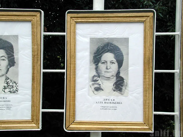 Дикая Алла Васильевна