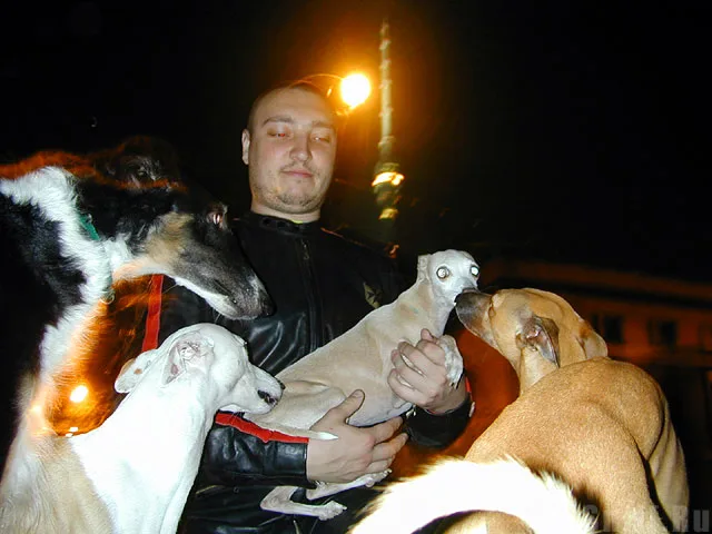 Икс и собакки