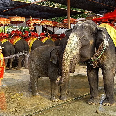 Ayutthaya, Thailand