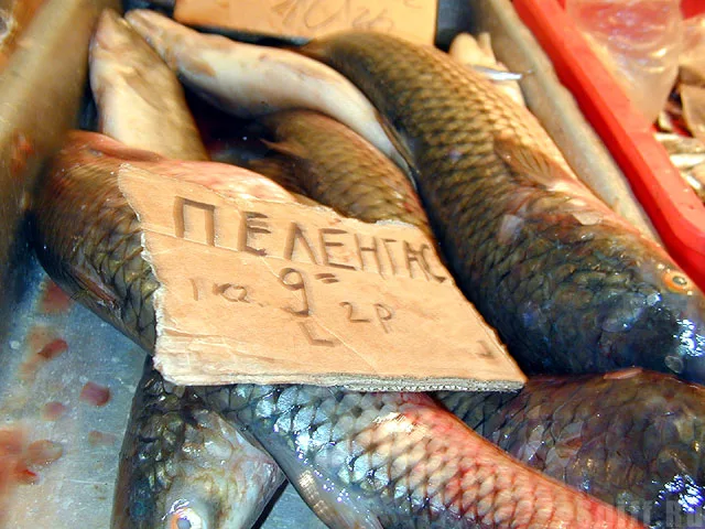 пеленгас