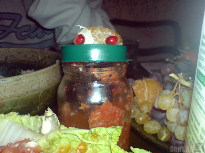 Жаба Сатана