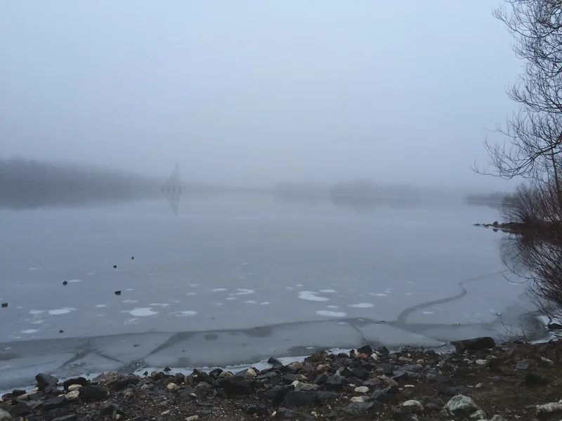 2499 · 05.12.2014