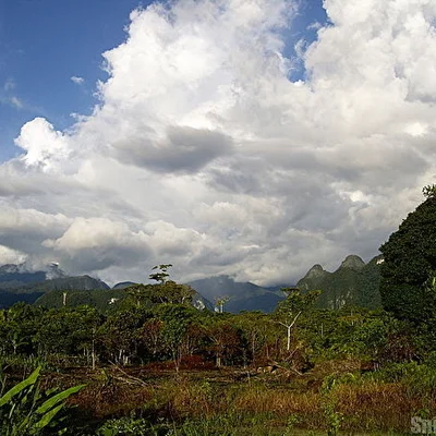 Mulu, Borneo, Malaysia