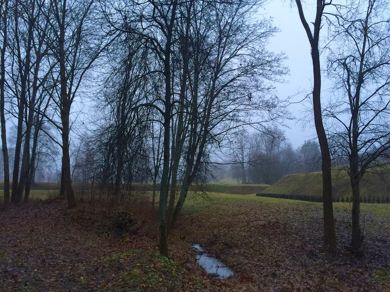 2499 · 05.12.2014