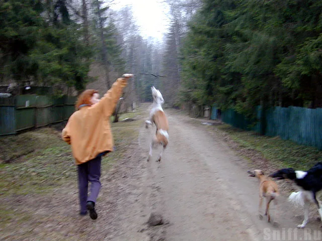 Волька